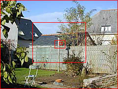 champs : 50 mm, Eagle Eye et Kowa 30x