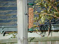 champ avec Eagle Eye