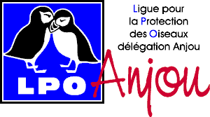 Logo LPO Anjou