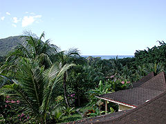 Vue d’un bungalow